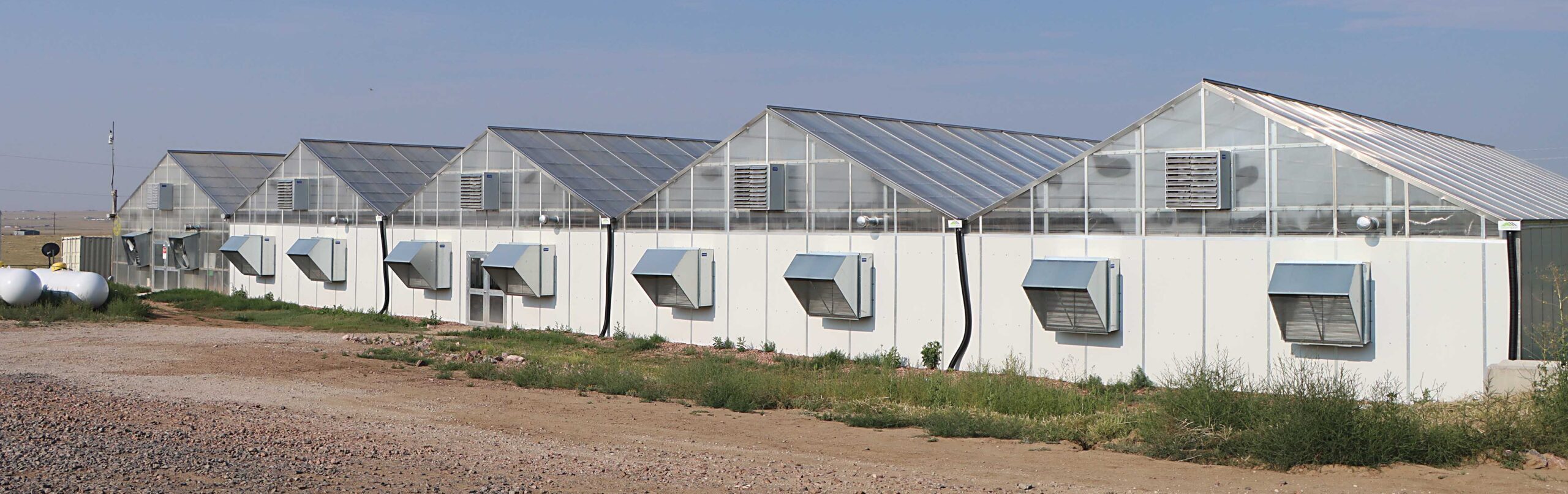 Exterior of S2000 Greenhouses Growing Hemp