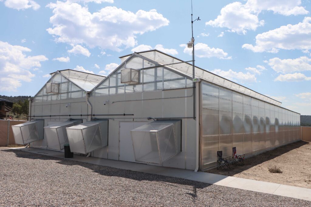 Two Polycarbonate Greenhouses