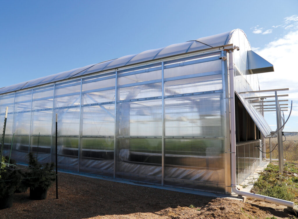 polycarbonate greenhouse in the sun
