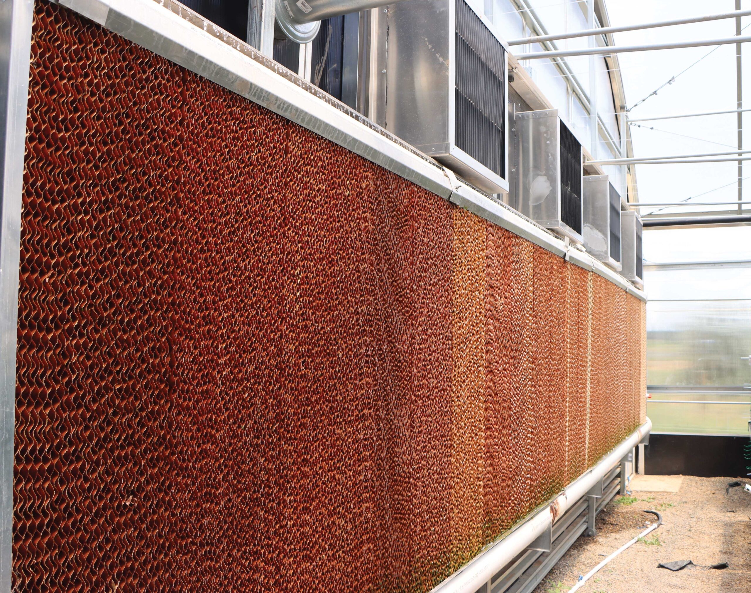 Greenhouse Temperature Control The Guide To An Evaporative Cooling