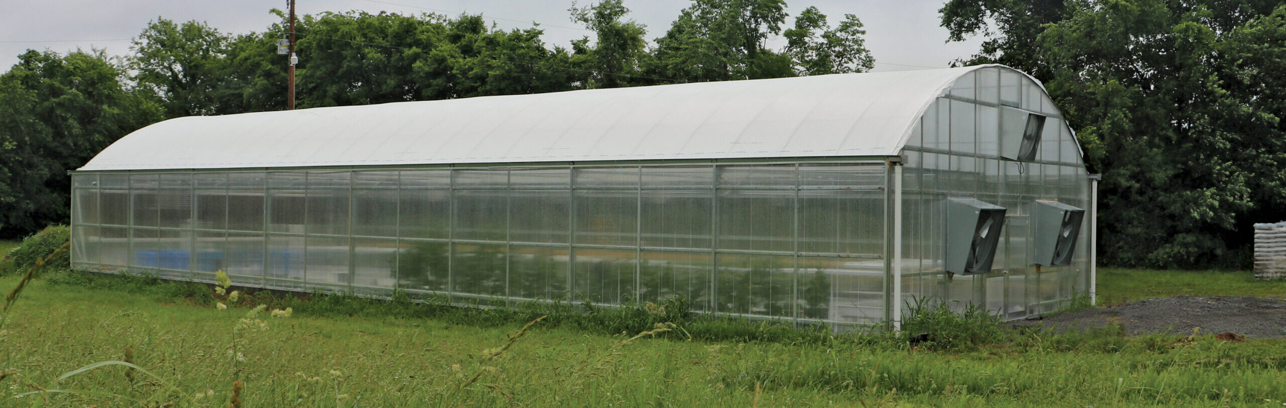 greenhouse on grass landscape