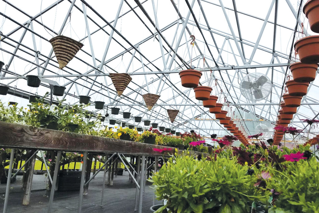 various plants in a retail greenhouse