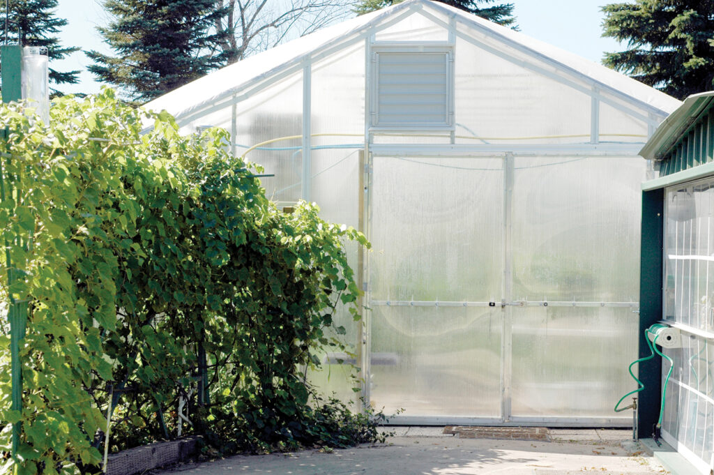 exterior of gothic greenhouse