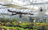 inside greenhouse with hydroponic plants and overhead accessories