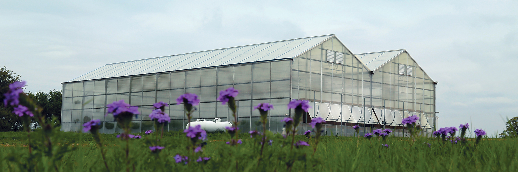 polycarbonate greenhouse