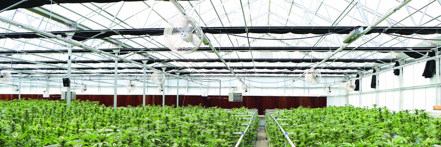 Industrial and Commercial Greenhouse Suppliers for California