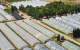 cold frames spanning across a landscape