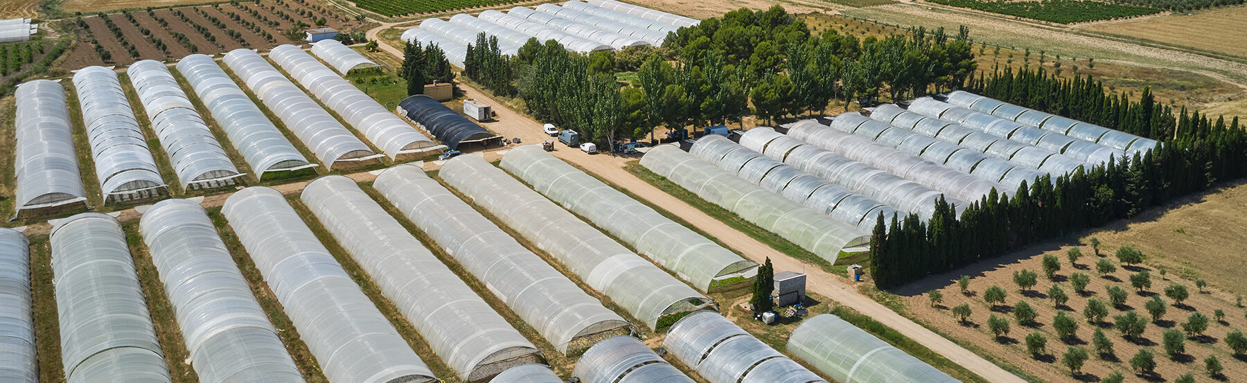 cold frames spanning across a landscape