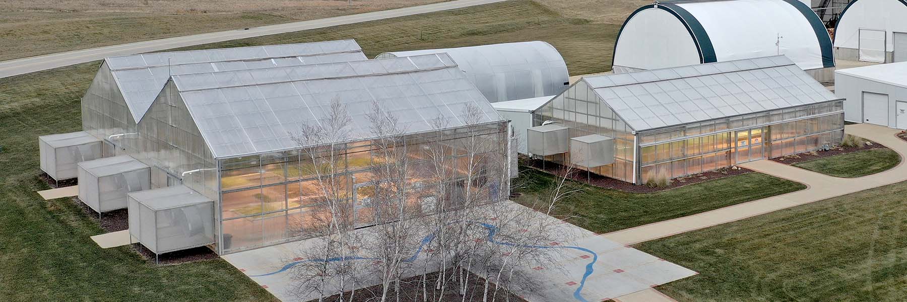 school greenhouse growing