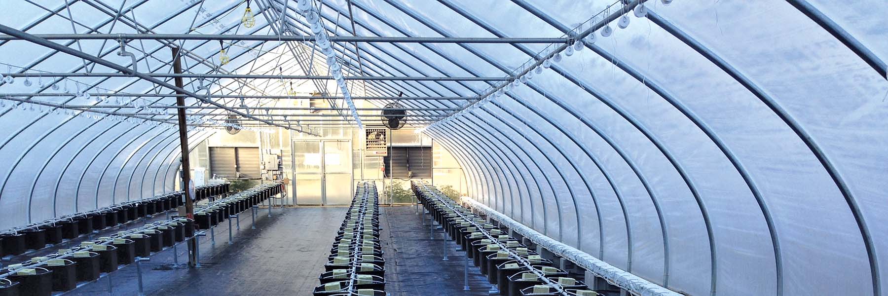 gothic arch greenhouses