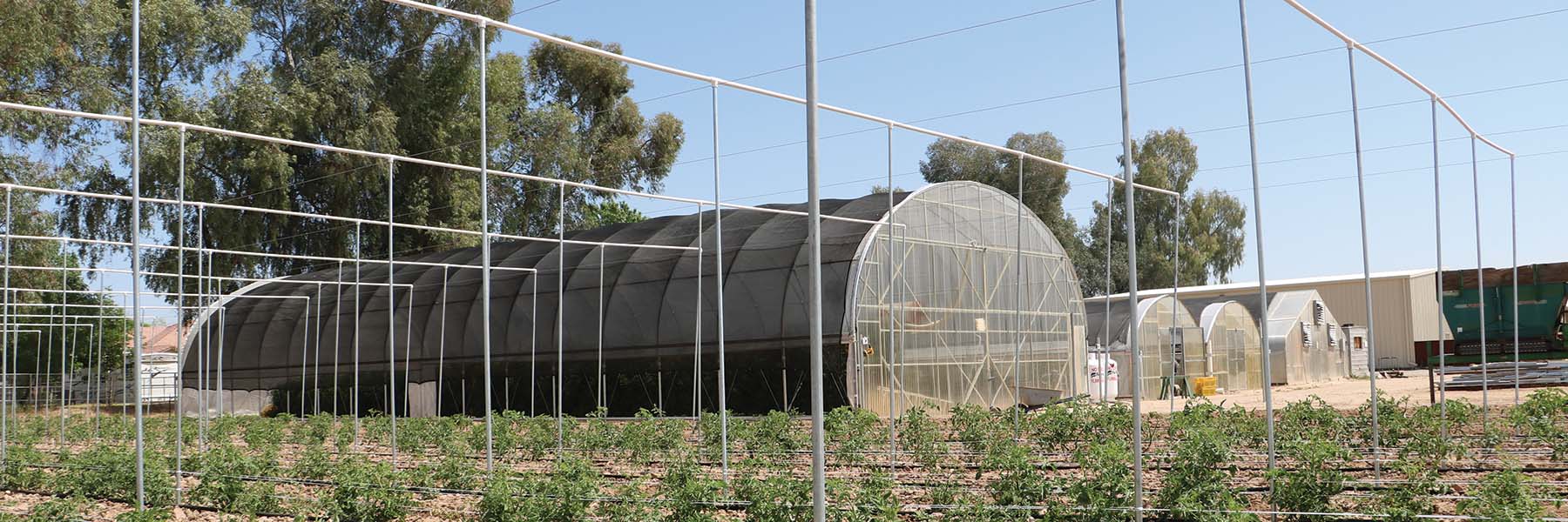 round greenhouse