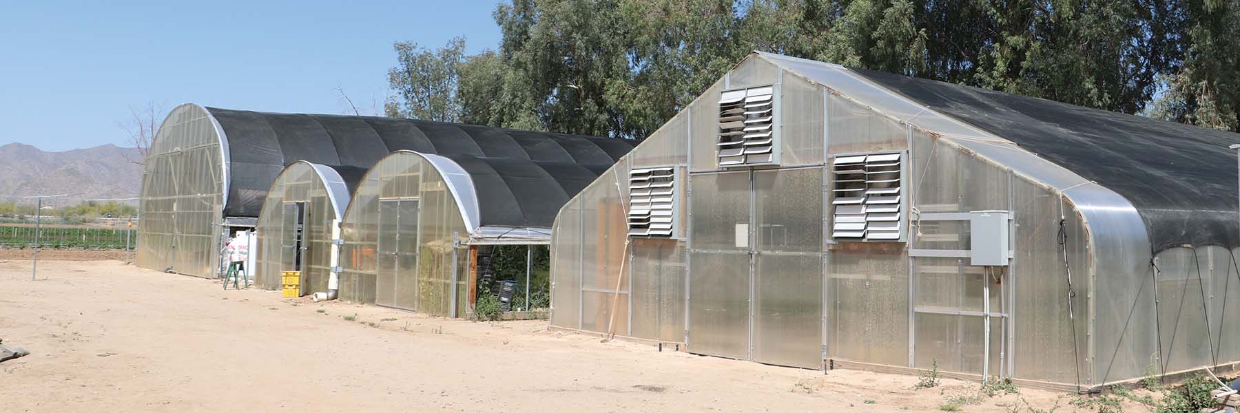 gothic greenhouse kits