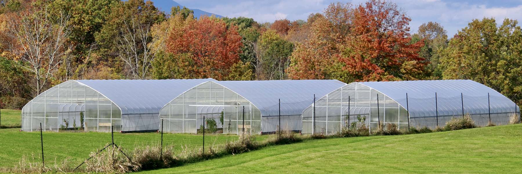 gothic arch greenhouses