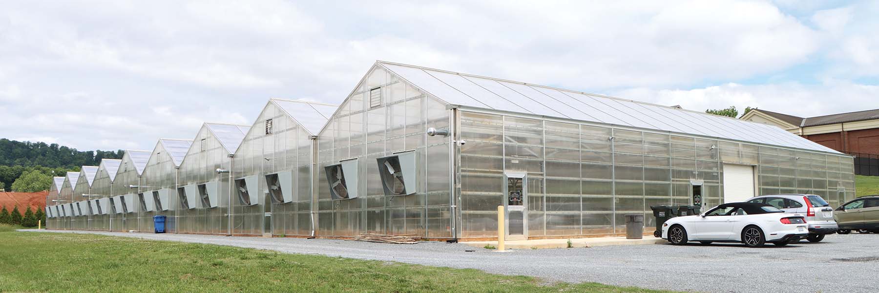 commercial cannabis greenhouse light deprivation