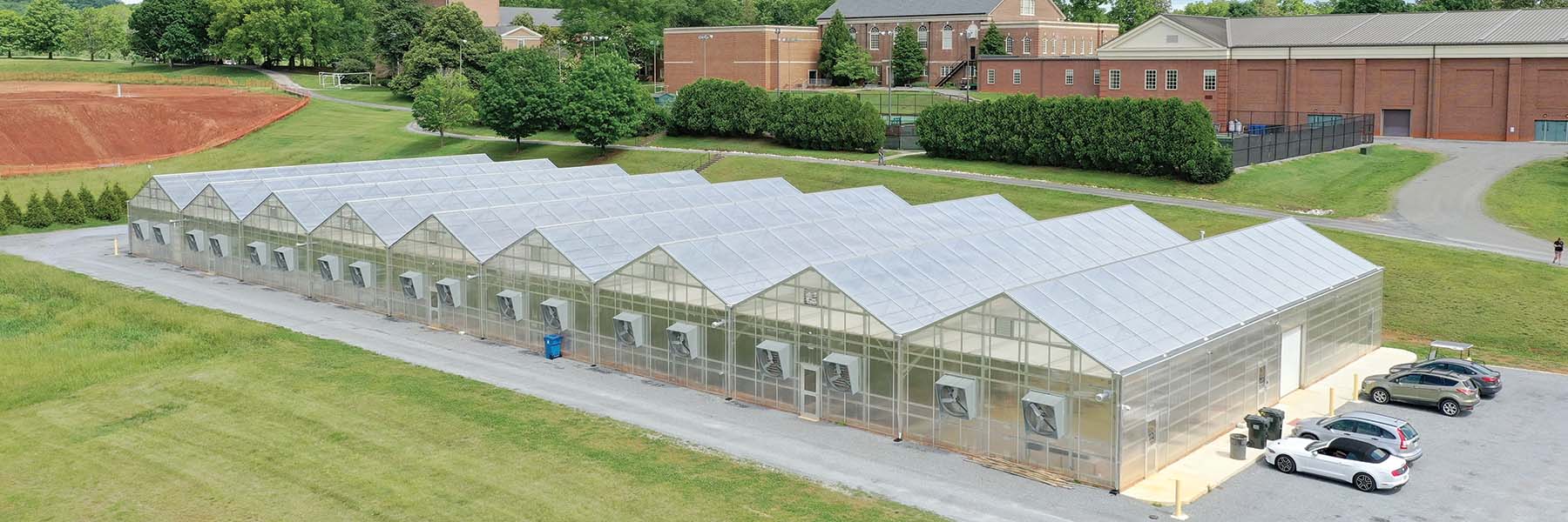 commercial cannabis greenhouses