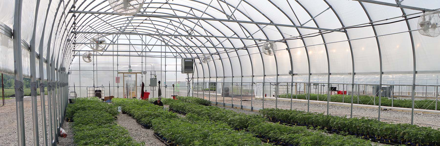 greenhouse