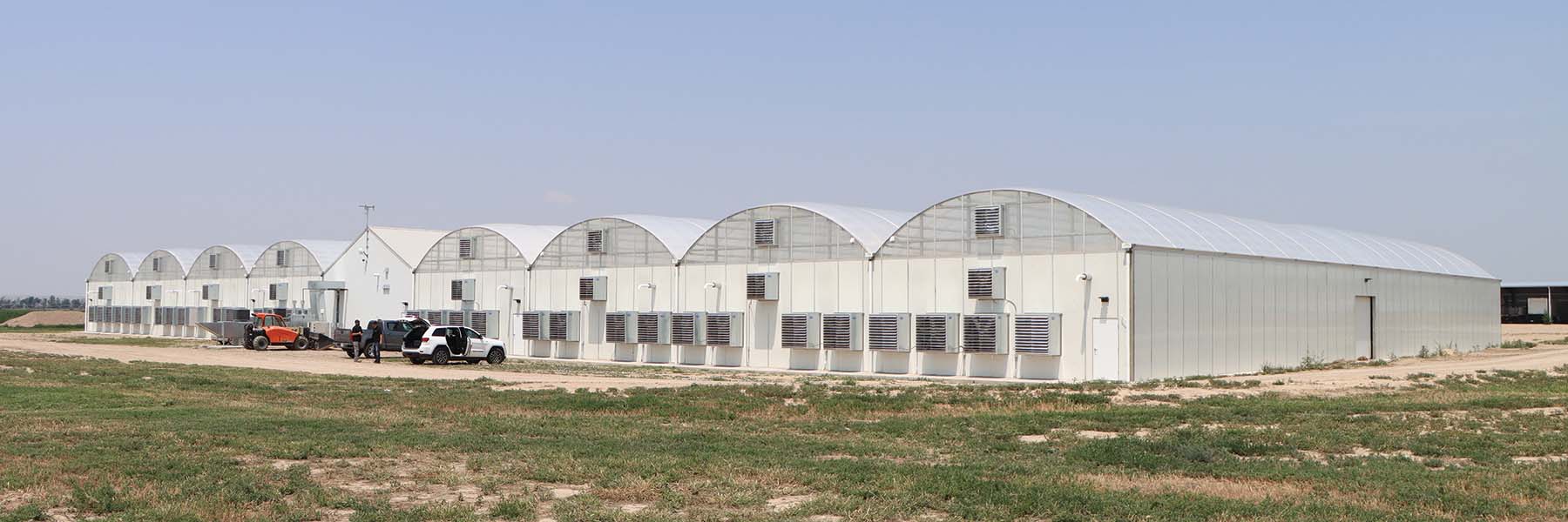 marijuana greenhouse