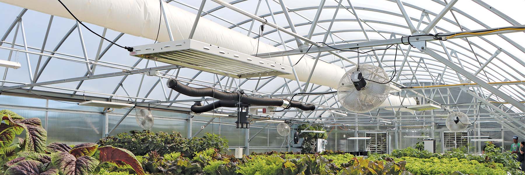 NFT systems