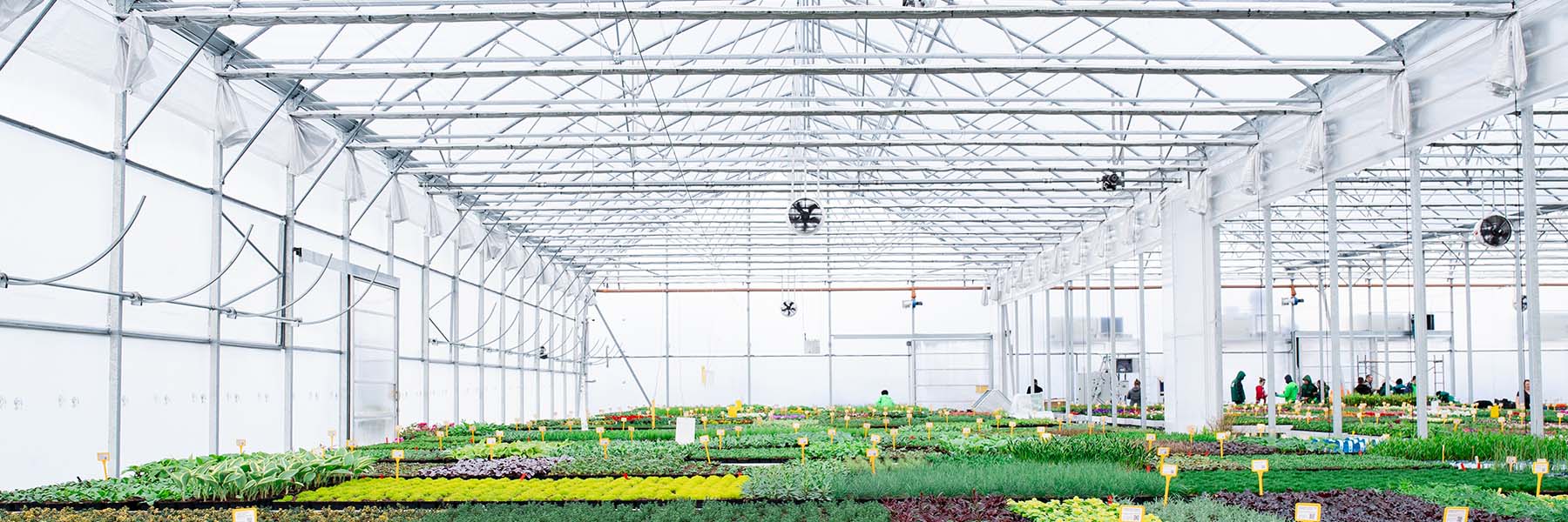 retail greenhouses