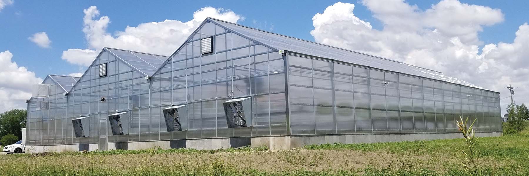 vegetable greenhouse