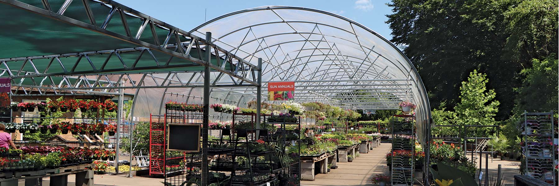 vegetable greenhouse growing