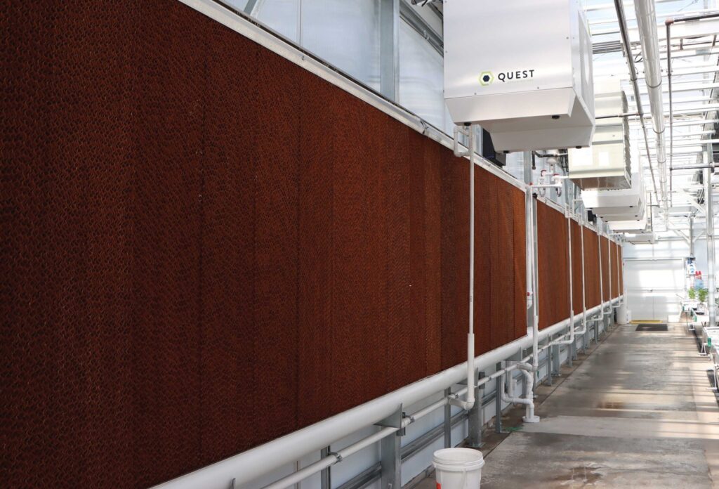 evaporative cooling wall in greenhouse