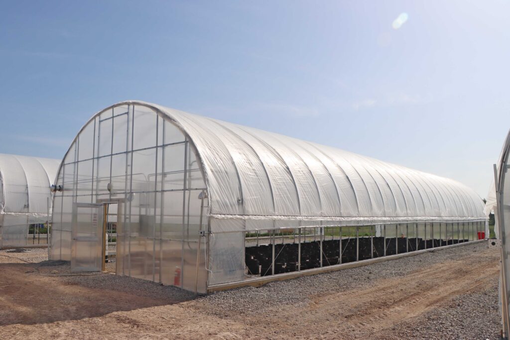 S500 Greenhouse with roll up sides