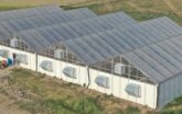 outside view of 5 bay gutter connected gothic greenhouses