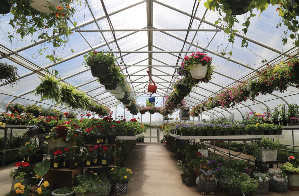 inside gothic greenhouse with hanging plants and plants on benches