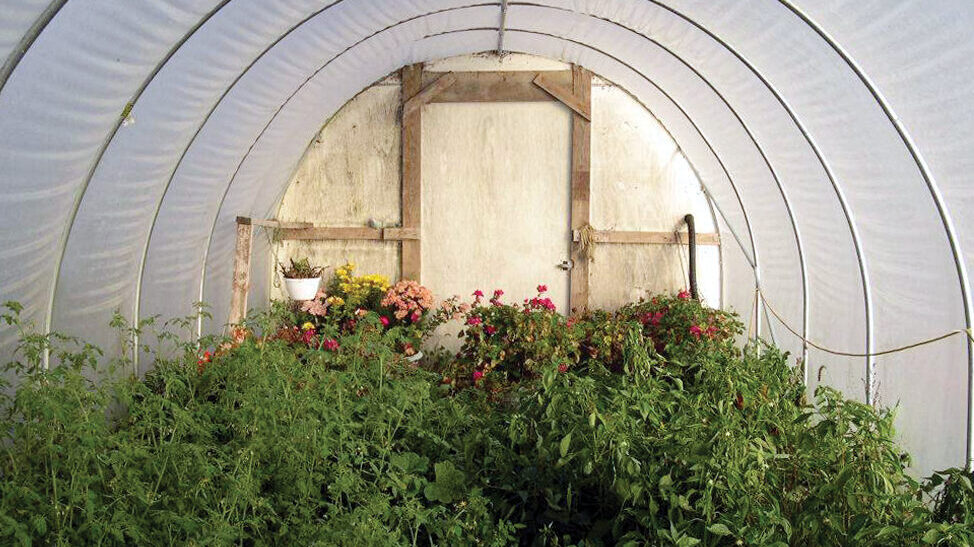 inside economy cold frame