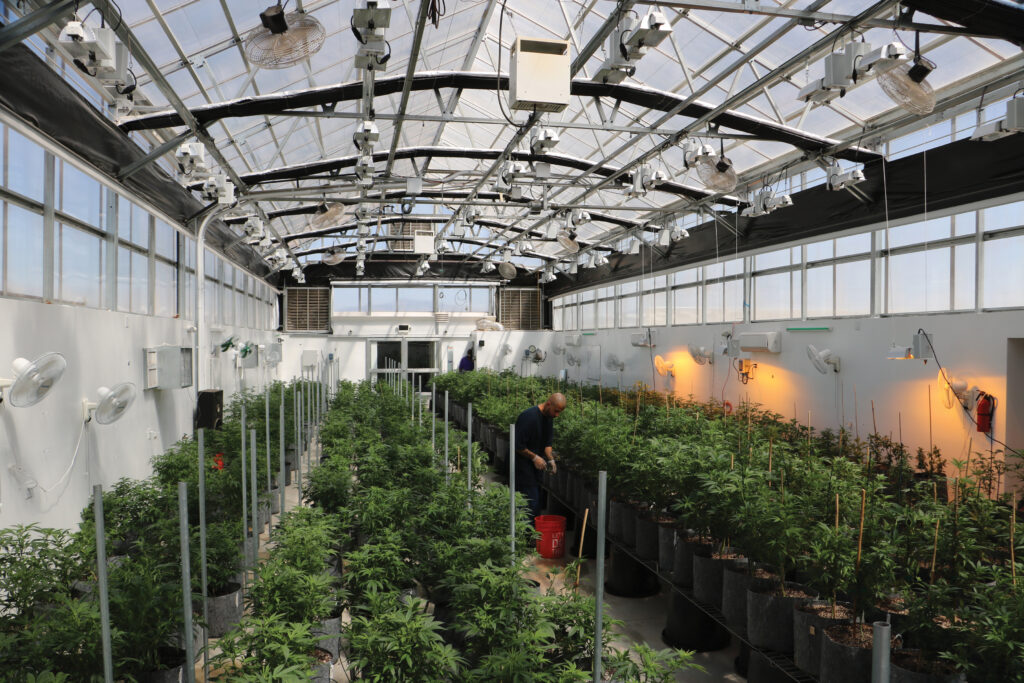 Inside a hybrid cold climate greenhouse