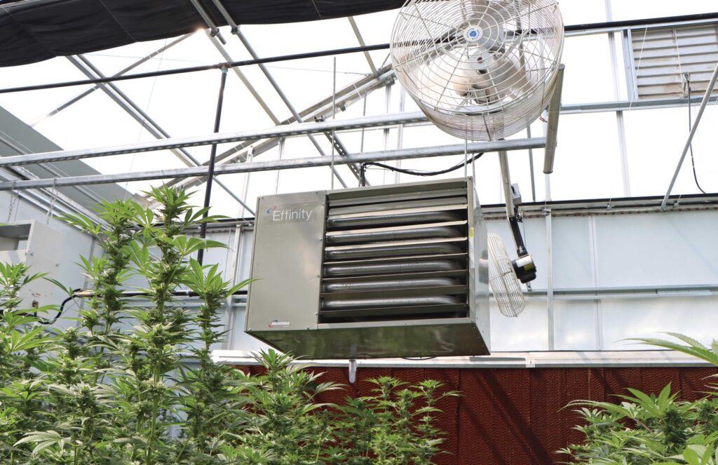 Modine Heater and HAF fan in a cold climate greenhouse