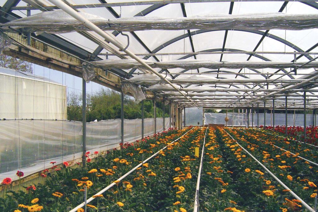 inside structure with reflective greenhouse insulation