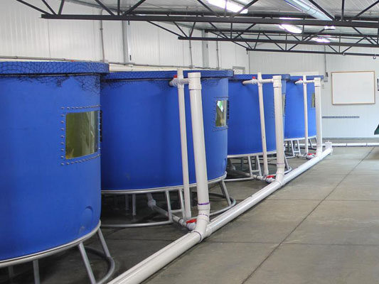 Commercial aquaponics systems