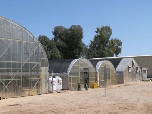 S1000 greenhouses outside on dirt