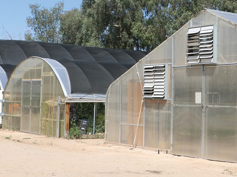 AZ Blue sky organic Greenhouses