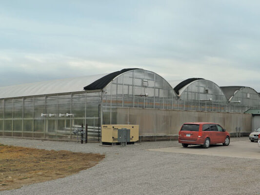 commercial greenhouse and metal building