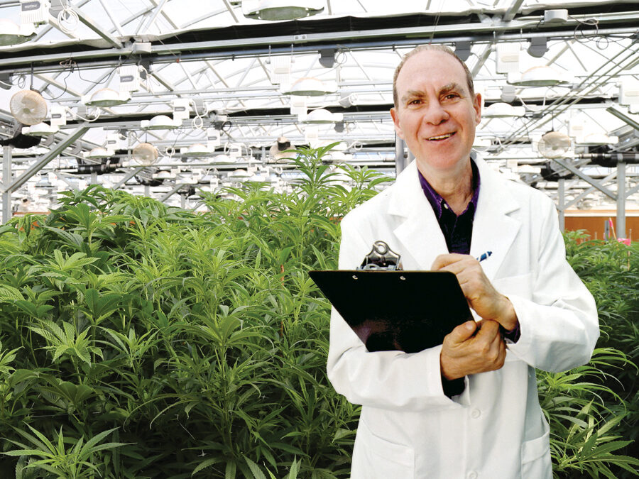 Ed Rosenthal Cannabis