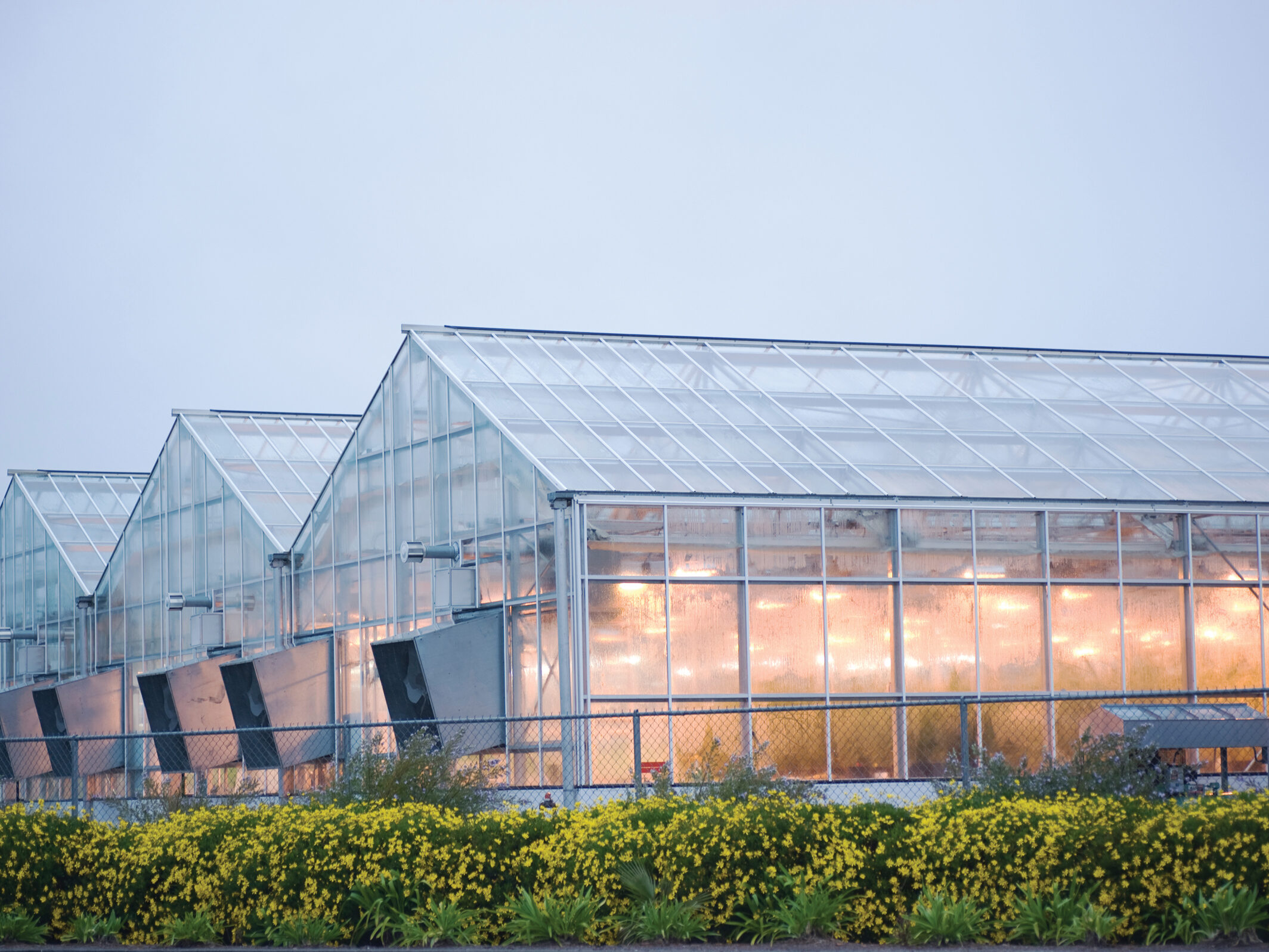 industrial greenhouse in davis