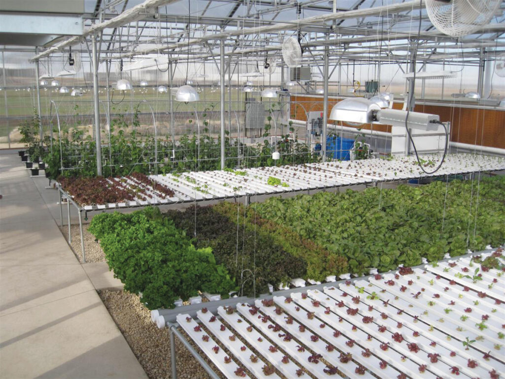 hydroponic systems on benches in a greenhouse