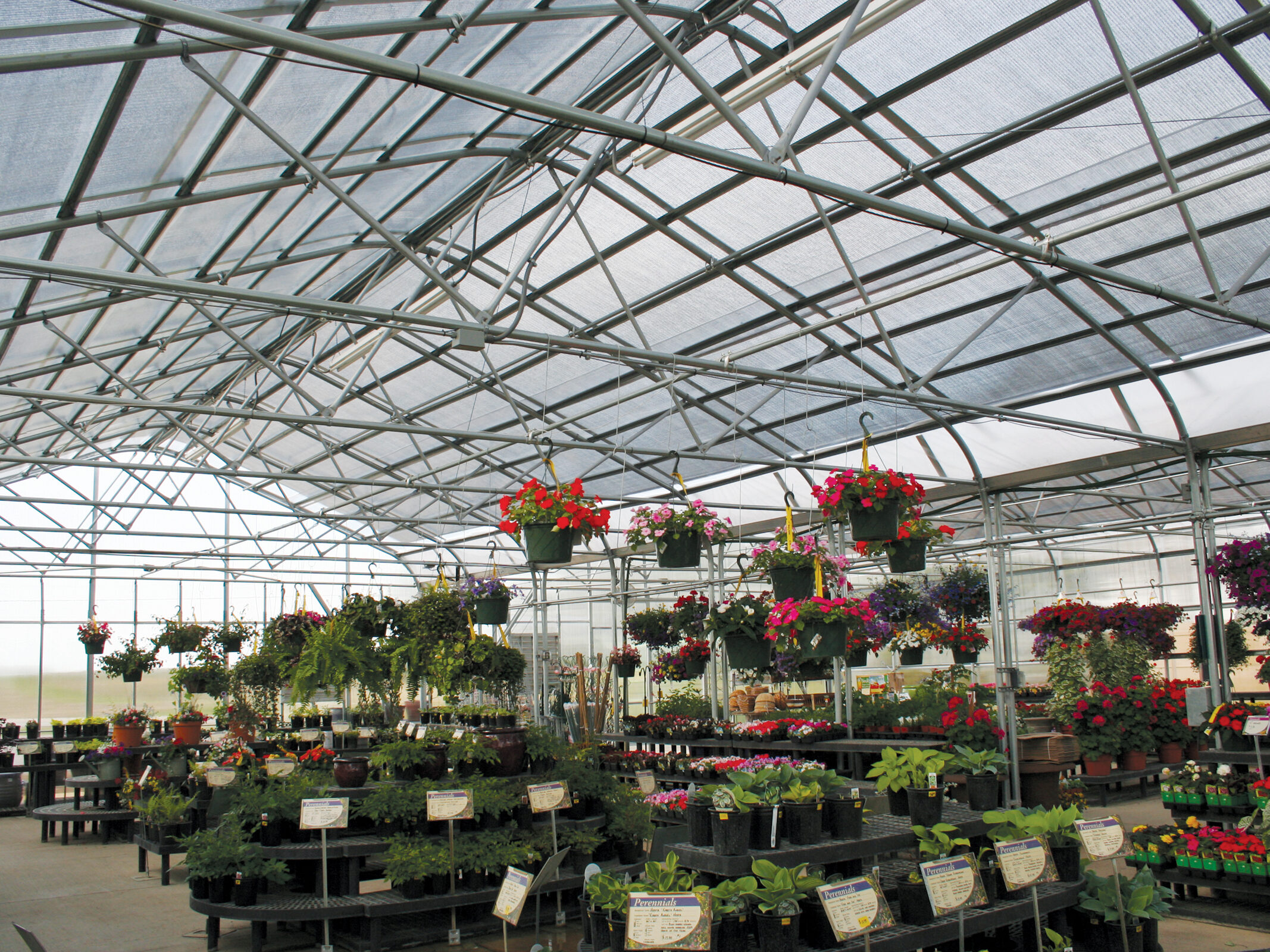 inside retail nursery