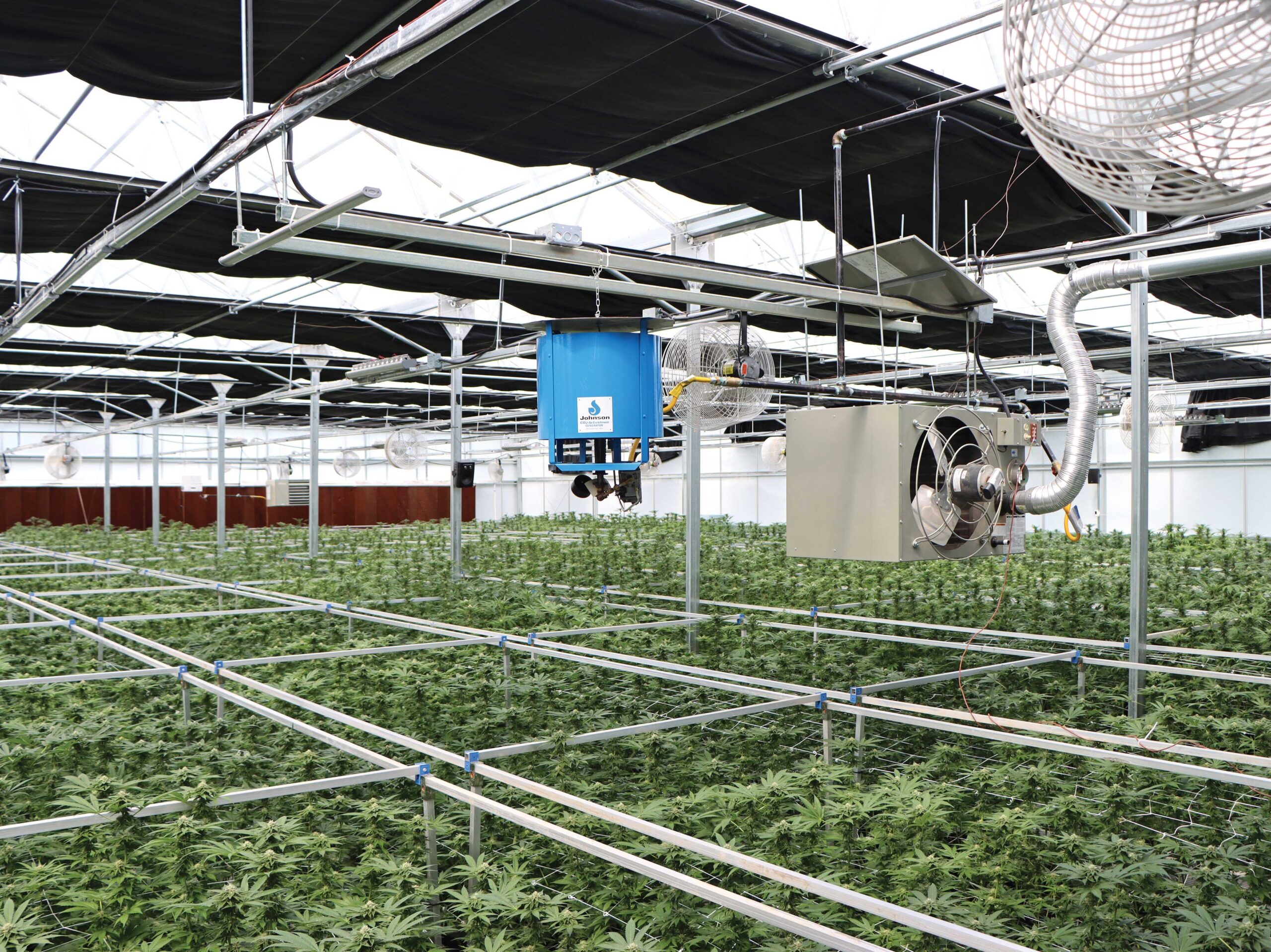 co2 enrichment system inside cannabis greenhouse