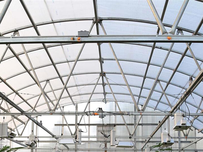 Greenhouse Ceiling