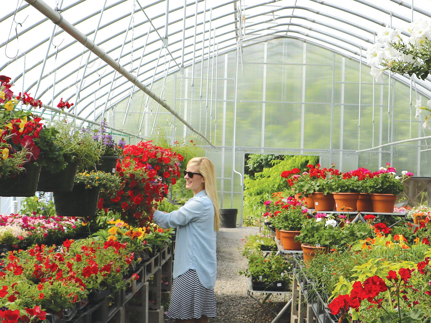 Potted Flowers Growing Inside a Greenhouse