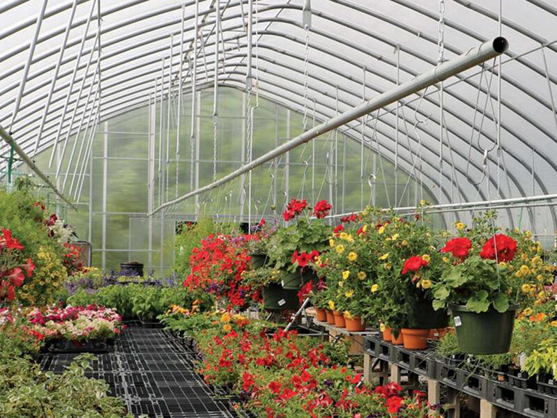 Hendons garden center interior