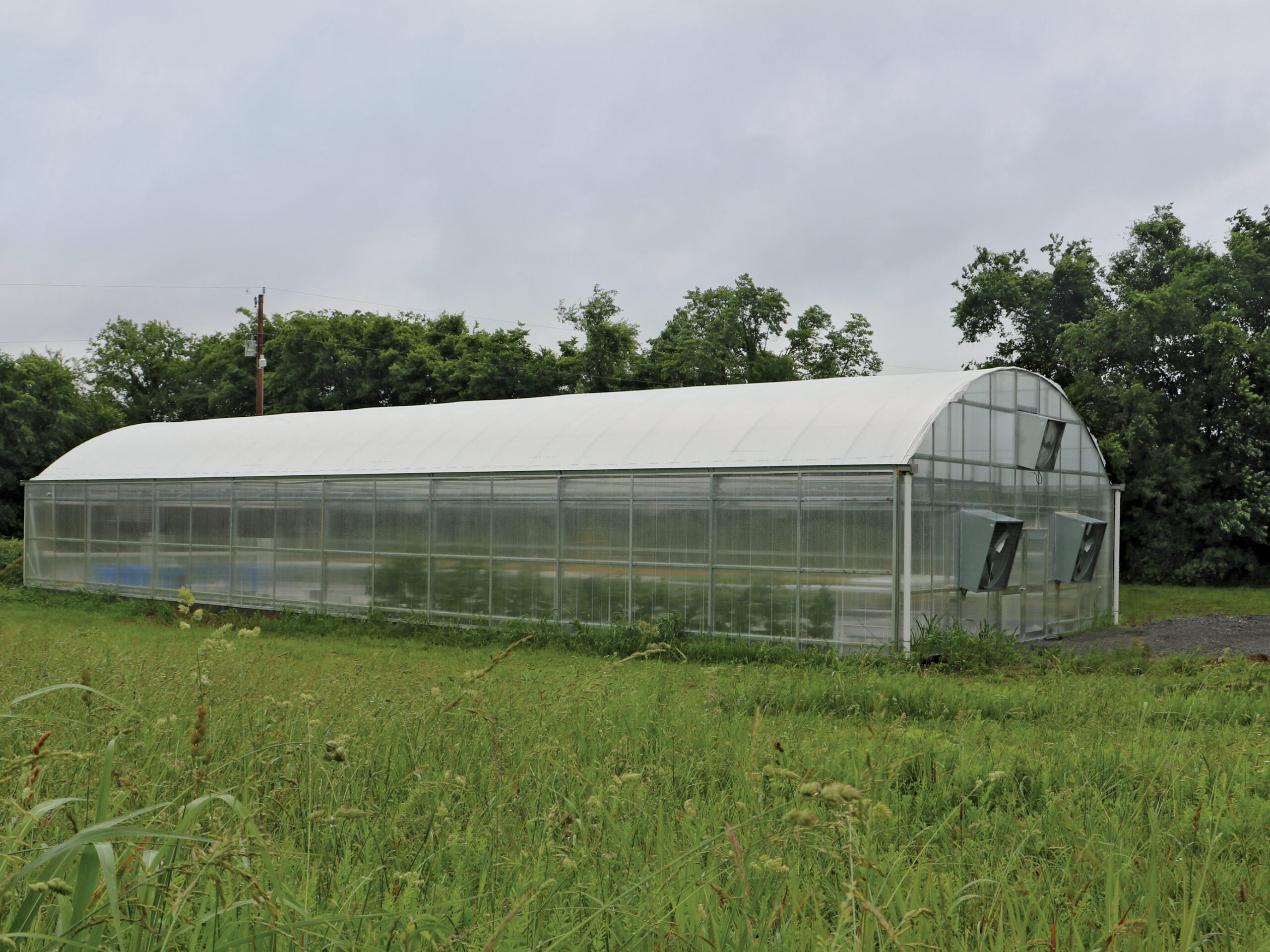greenhouse on grass landscape