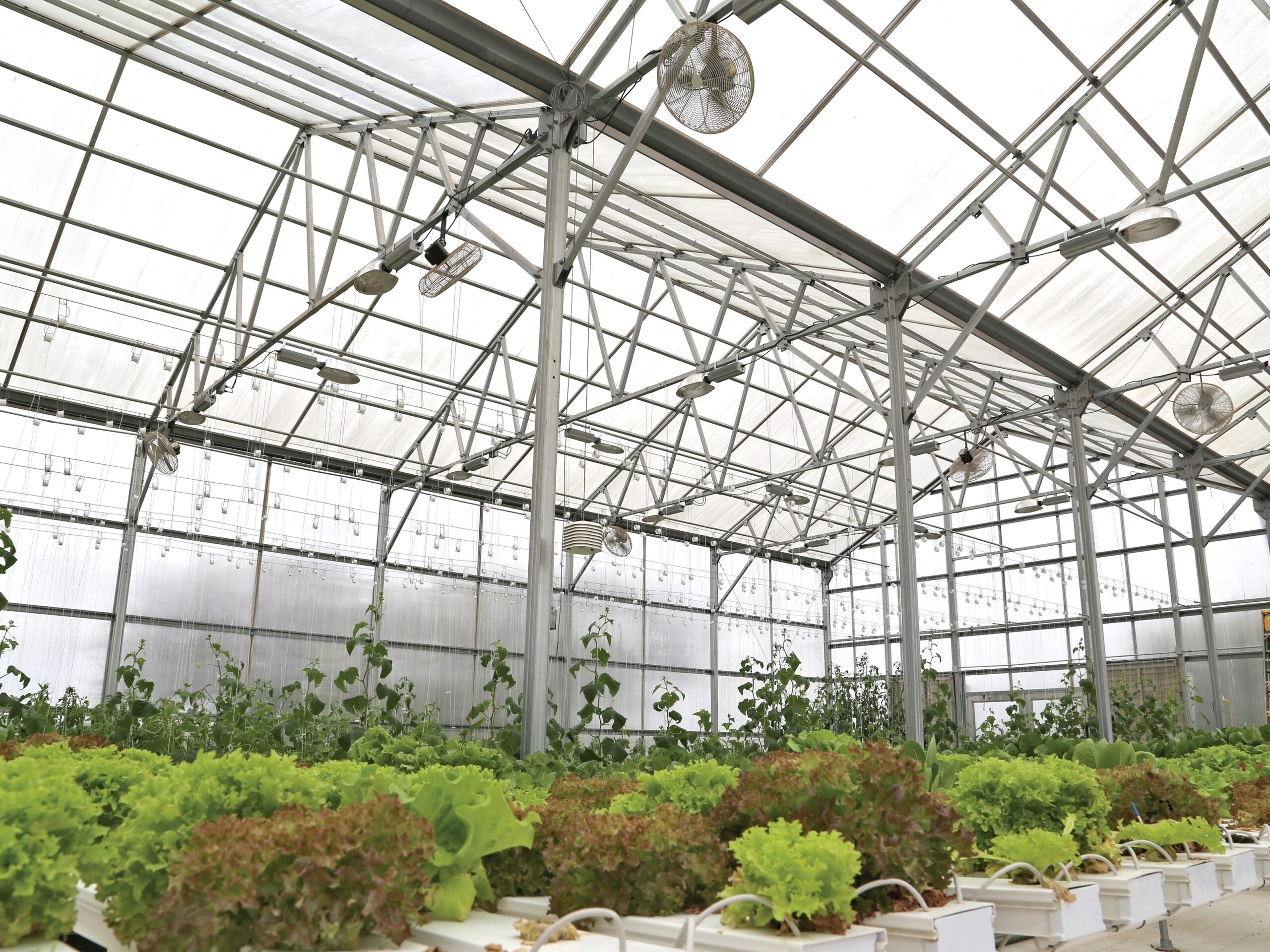 interior of polycarbonate greenhouse with hydroponics