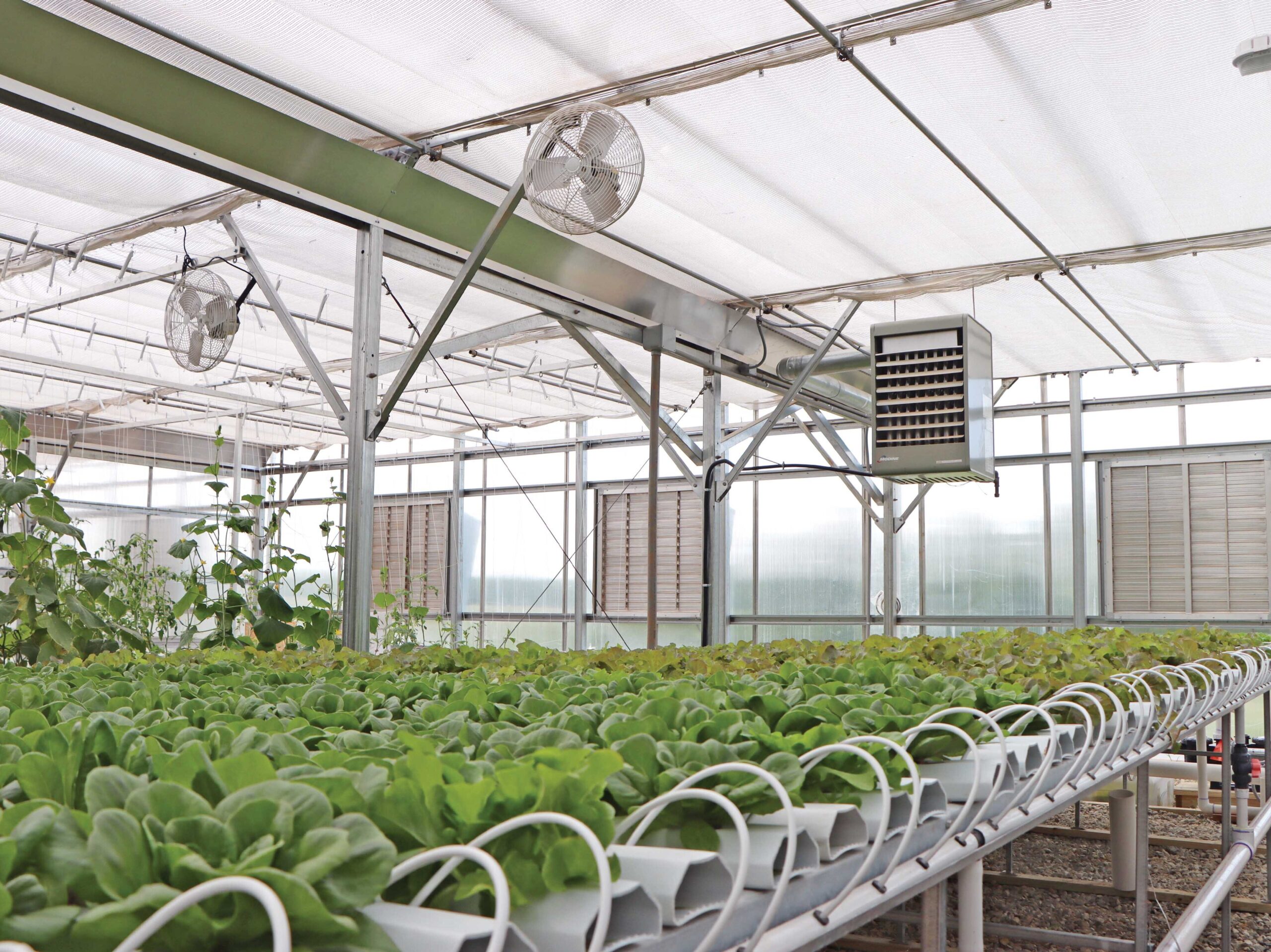 plants growing hydroponically in greenhouse with fans and a heater