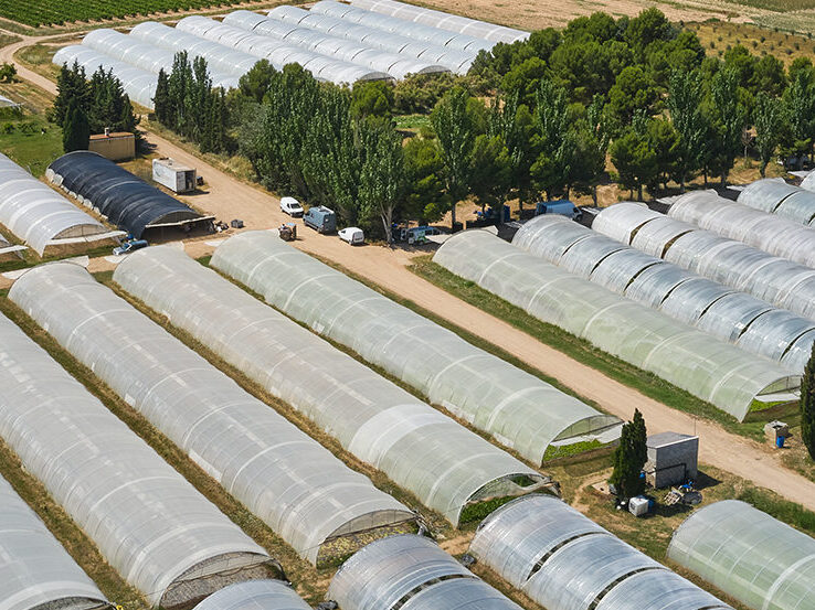 cold frames spanning across a landscape