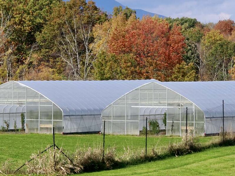 Farm green houses in fall